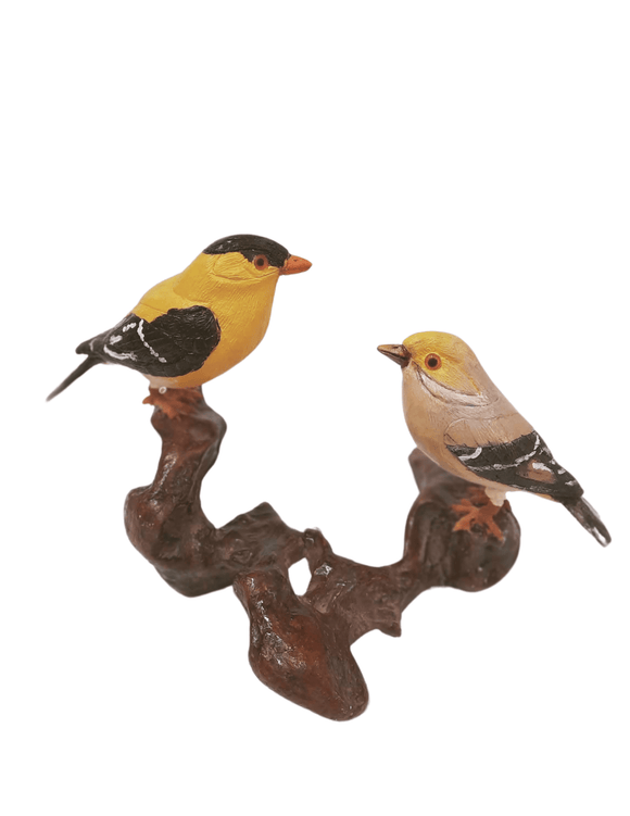 American Goldfinch 2 - Roger Haight