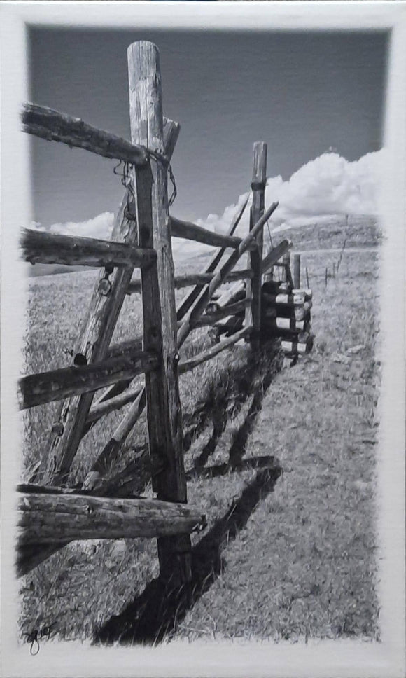 Black and White Fence - John Hoskin
