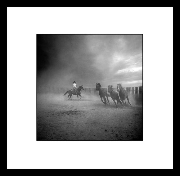 Three Horses - Adam Jahiel