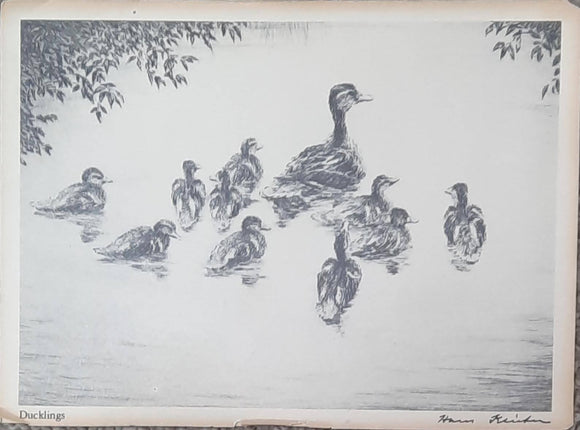 Ducklings Card - Hans Kleiber