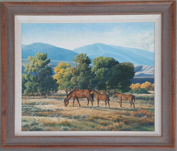 Horses in Pasture - Connie Robertson