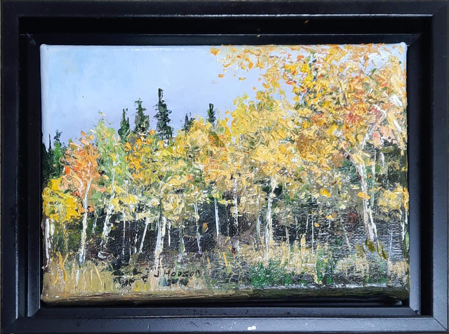 WYO Aspens - Jan Hodson