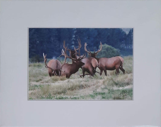 A Mess of Elk - Linda Richardson