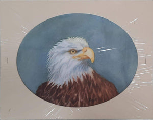 Bald Eagle - Lori Kobielusz