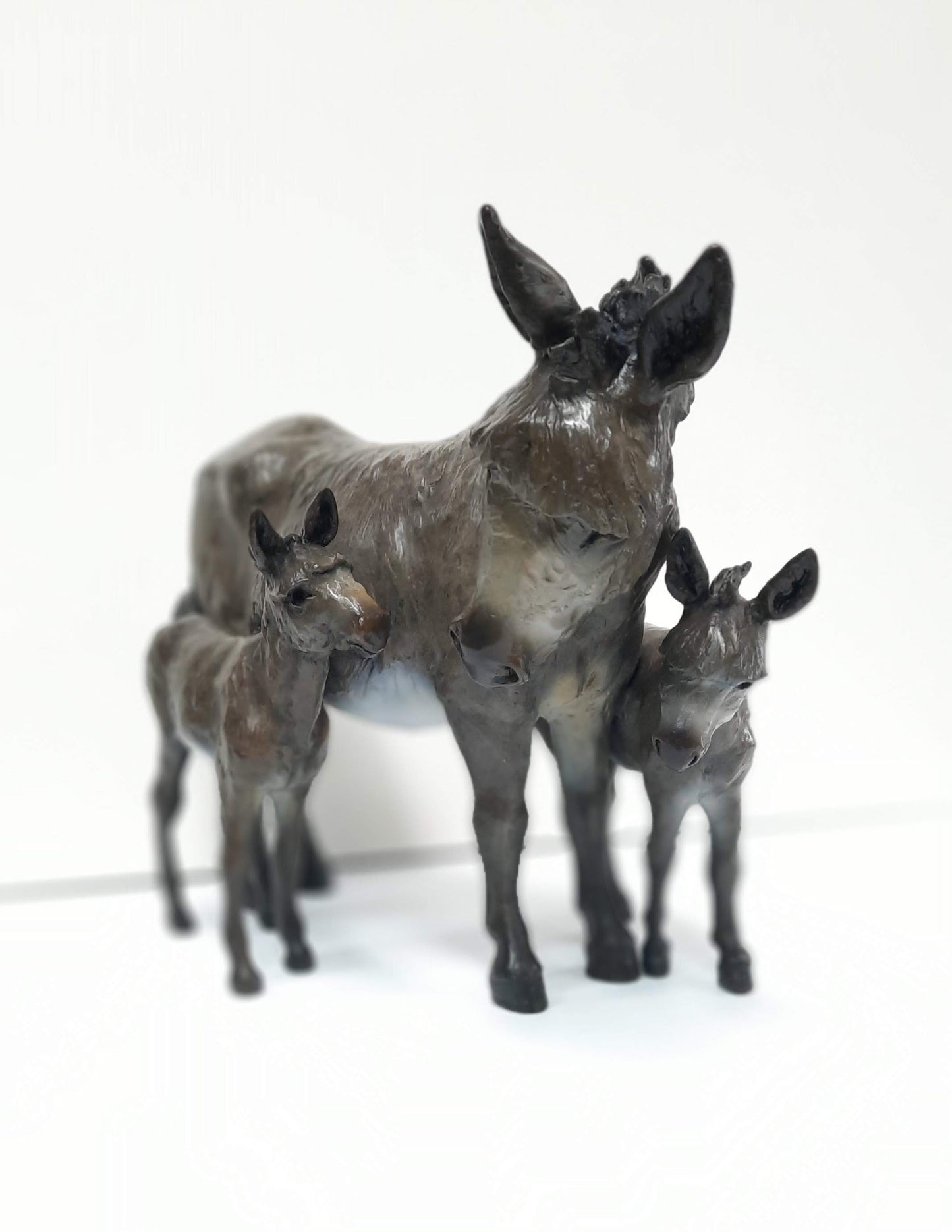 Buckaroo Burros - Robin Laws