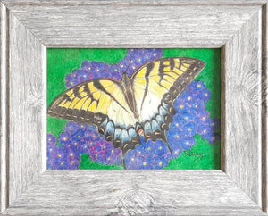 Butterfly - Jan Raney