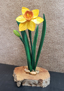 Daffodil - Roger Haight