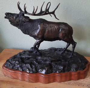 Elk Bronze - Fred Boyer