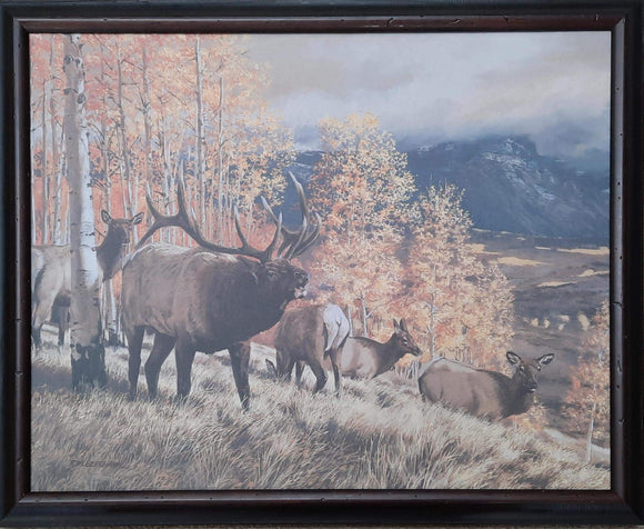 Elk Bugle - Tom Beecham