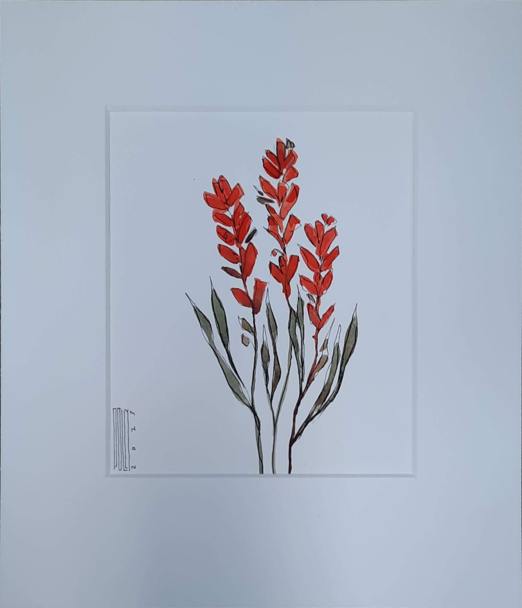 Indian Paintbrush - Polly Burge