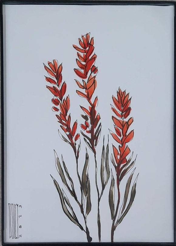 Indian Paintbrush (5x7) - Polly Burge