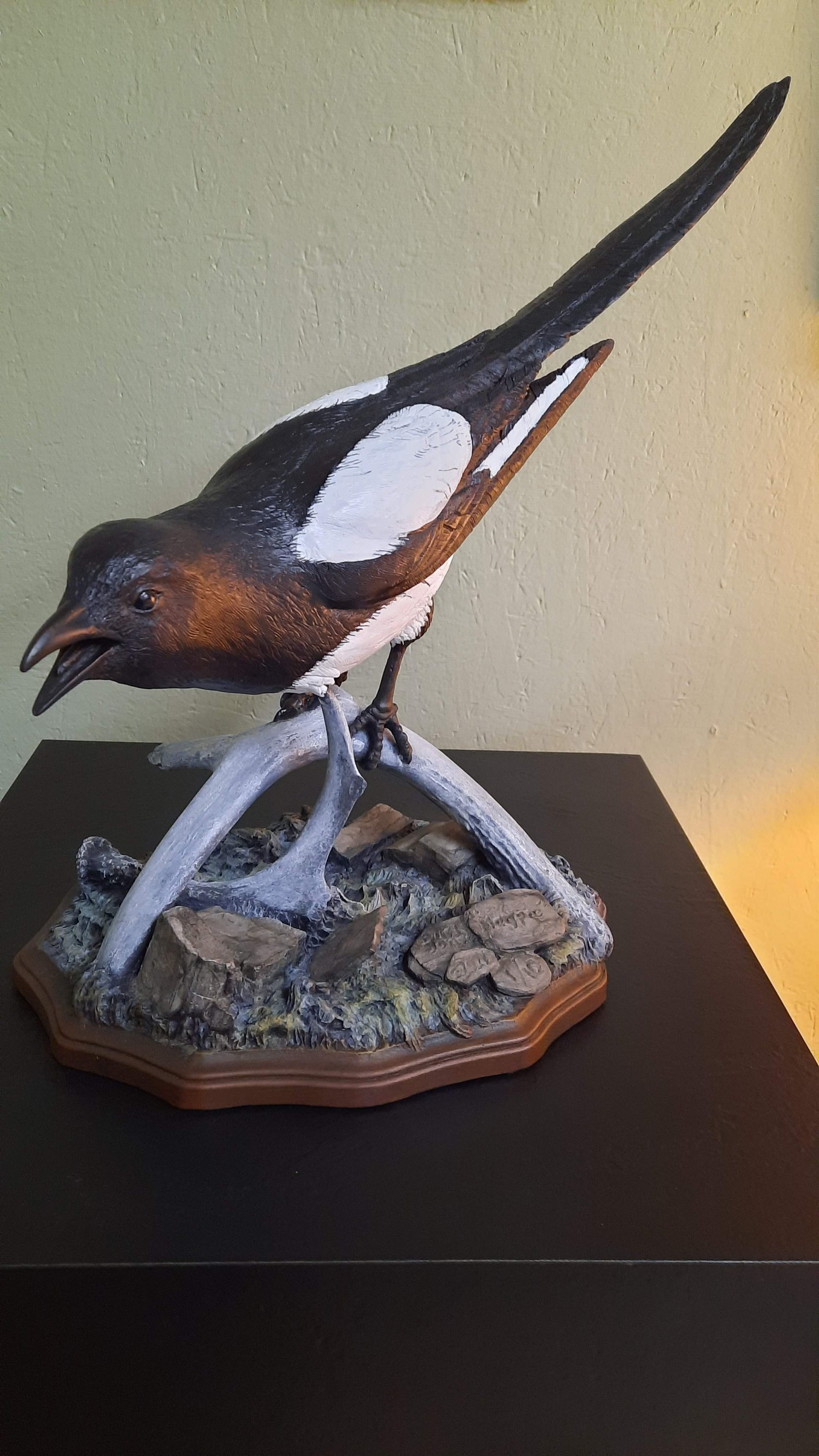 Magpie - Burl Jones