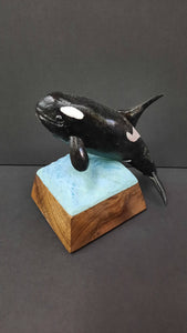 Orca - Roger Haight