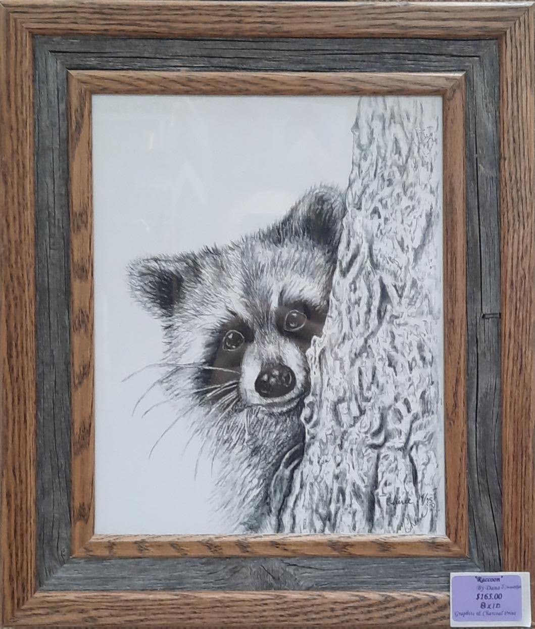 Raccoon