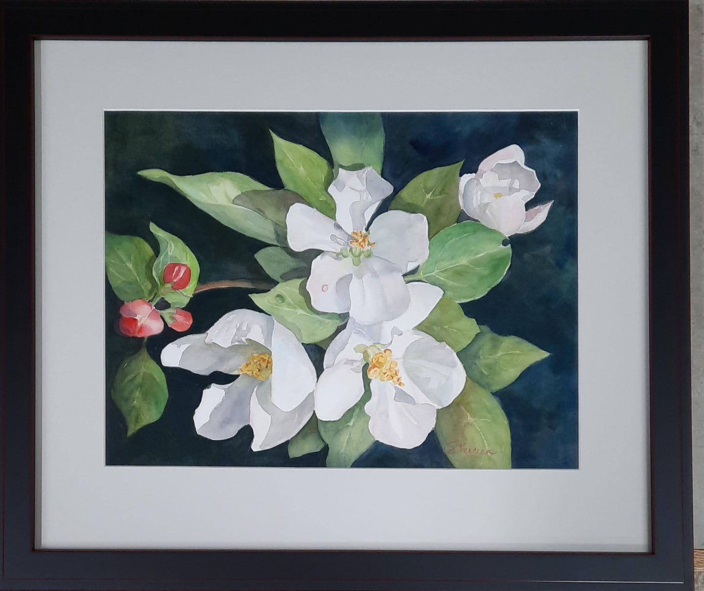 Rob's Apple Blossoms - Paulette Kucera