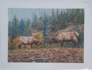 Sparring Elk #85/100 - Posters