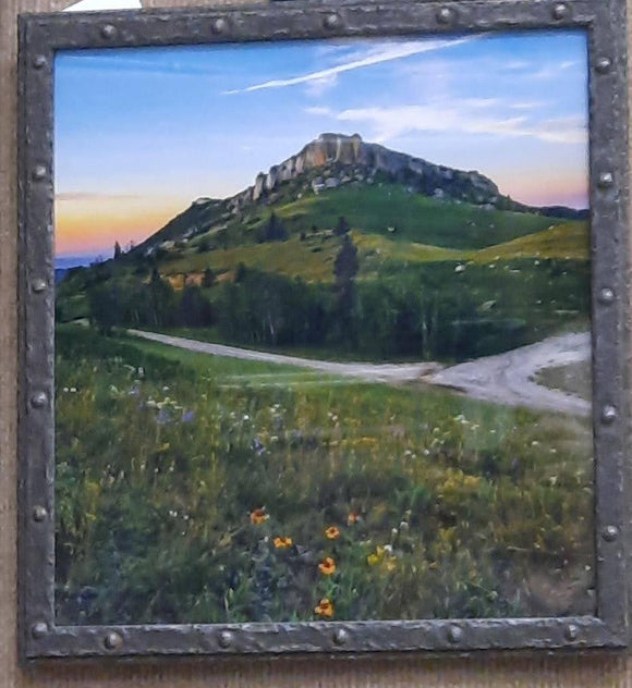 Steamboat Rock with Flowers at Sunset - Steve Bourne