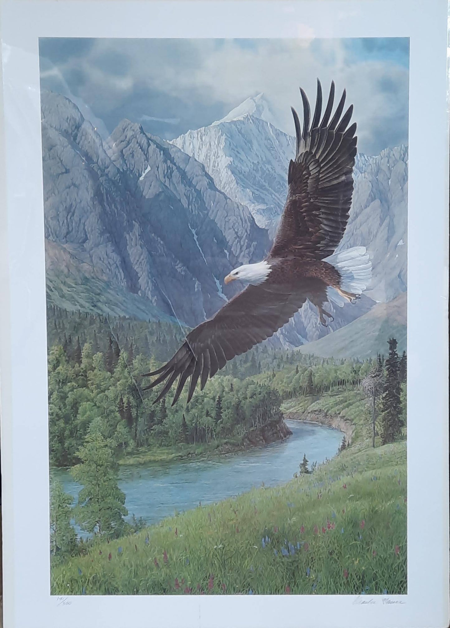 Wings of Eagles River - Posters