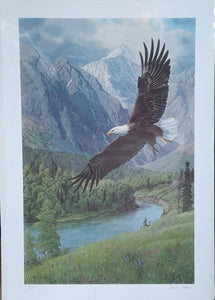 Wings of Eagles River - Posters