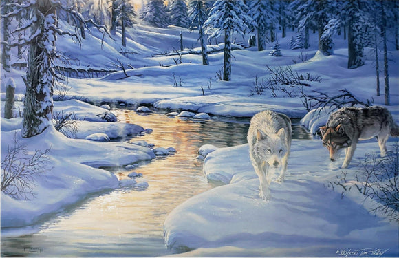 Winter Search - Tom Lockhart