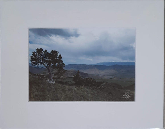 Wyoming Landscape - Kate Richardson